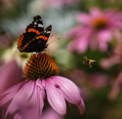 Canary Wharf in Focus: Amateur Photography Competition Winner Announced – 07.12.22