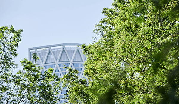 Treeline view of building at Canary Wharf