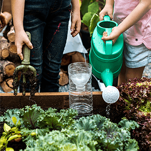 Watering garden at Canary Wharf