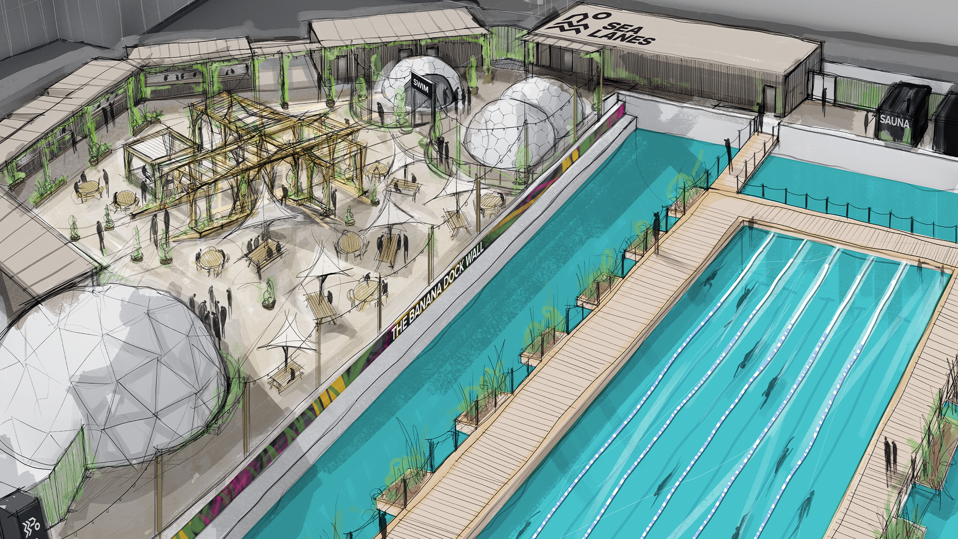 Canary Wharf makes a splash announcing transformative plans for new, 50m natural water lido in Eden Dock